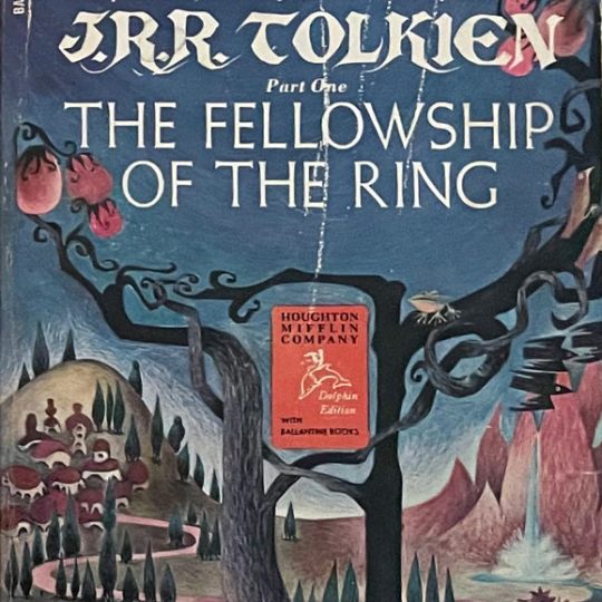 the-fellowship-of-the-ring